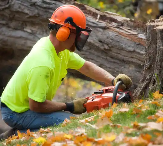 tree services Huntington Bay